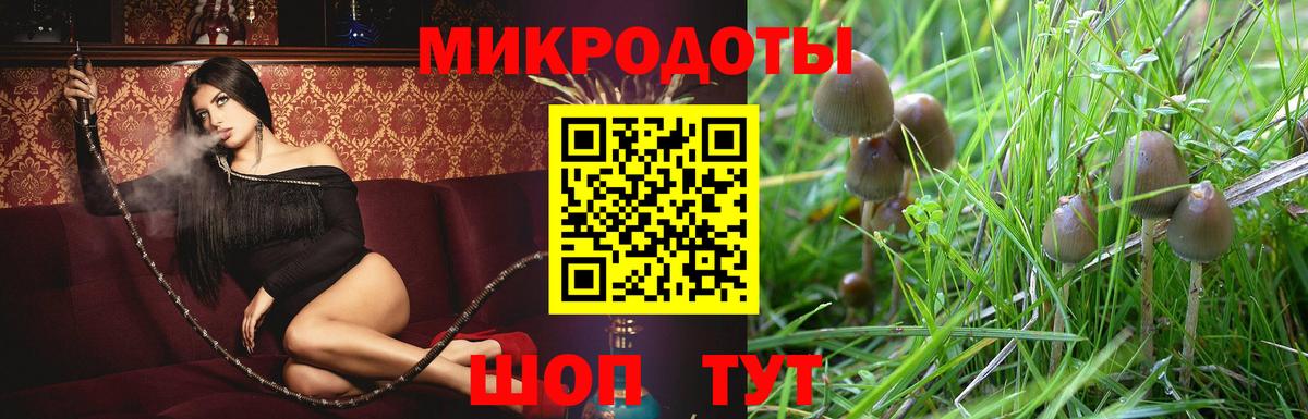 Псилоцибиновые грибы прущие грибы Шахты