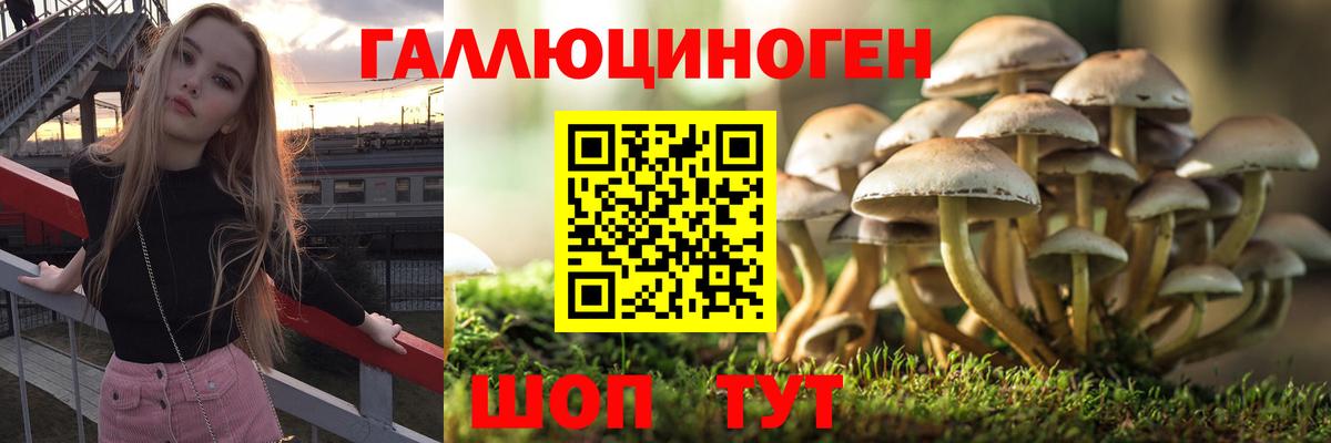 Галлюциногенные грибы Psilocybine cubensis  Вход с VPN  Псилоцибиновые грибы GOLDEN TEACHER  Шахты 